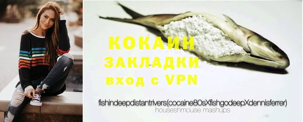 mdpv Богородицк