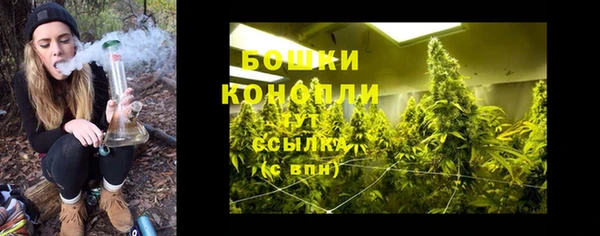 mdpv Богородицк