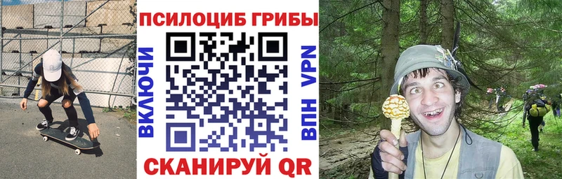 мега зеркало  Химки  Псилоцибиновые грибы Psilocybe 